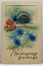 Thanksgiving Greeting Airbrushed Turkey Apples &amp; Flowers Embossed Postcard G12 - £5.94 GBP