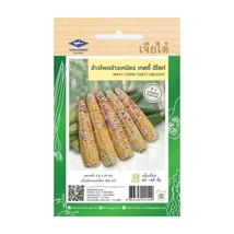 Waxy Corn Tasty Delight Seeds Home Garden Asian Fresh Vegetable Thai Seeds - £6.31 GBP