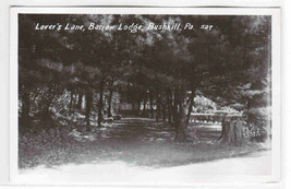 Lovers Lane Barrow Lodge Bushkill Pennsylvania 1950s RPPC Real Photo postcard - £5.06 GBP