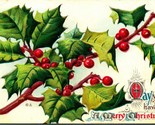 Holly Branch Berries May You Have a Merry Christmas UNP Embossed DB Post... - $3.91