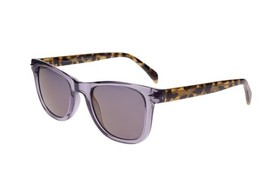 New Success Sun#12- Crystal Smoke Sunglasses with Grey Lenses - $44.50