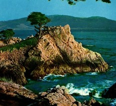 Midway Point Seventeen Mile Drive Tree Monterey California UNP Chrome Postcard - £2.33 GBP