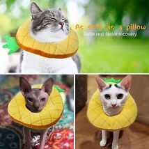 Hylyun Cat/Dog Recovery Collar – Cute Sun Flower Neck Cone - $18.81