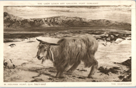The Scapegoat By W Holman Hunt 1827-1910 Lady Lever Art Gallery Postcard - £10.08 GBP