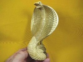 (q111-A) medium striking COBRA snake fangs ACACIA WOOD carving FIGURINE ... - £33.63 GBP