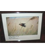 Vintage Photo Guyger Eileen Lynch Red Wing Blackbird - $35.00