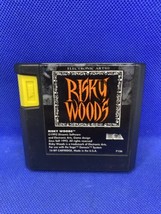 Risky Woods (Sega Genesis, 1992) Authentic Cartridge Only - Tested! - £30.78 GBP