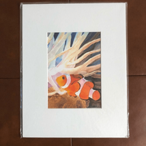 Clownfish In The Anemones Watercolor Matted - €24,55 EUR