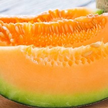 Orange Melon Honeydew Seeds Non-Gmo Heirloom Seeds Gardening Fresh USA SHIPPING - $6.99