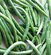 SG -80 Seeds Provider Bush Green Bean Seeds, NON-GMO, Variety Sizes Sold - £7.41 GBP