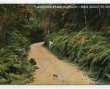 Fern Gull St Anns Postcard Greetings From Jamaica  - $13.86