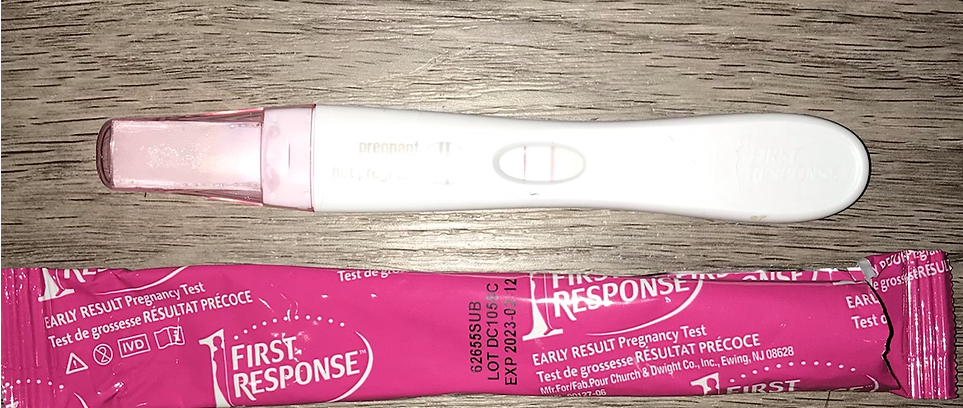 First Response Positive Pregnancy Test Magic Love Spell Joke Prank Manif... - $40.00