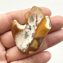 Tampa Bay Fossil Coral Agatized Freeform 48x38.5x19 mm Petrified Tumbled Agate - £31.59 GBP