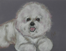 Bichon Frise Dog Art Pastel Drawing Solomon - $1,934.99 MXN