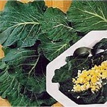 Vates Collards  10 Seeds  Garden Beautiful USA SELLER - £4.32 GBP