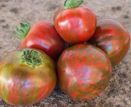 Sailor’s Luck Tomato - Tomate - 10+ Seeds - P 477 - £1.58 GBP