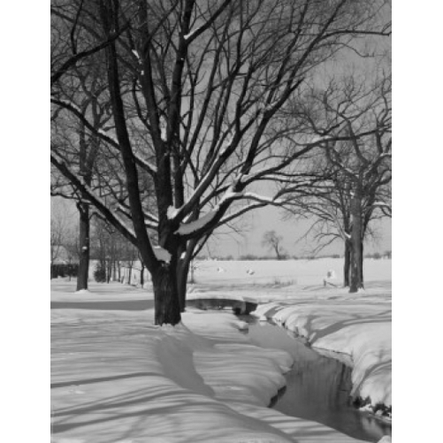Winter Trees &amp; Brook Poster Print - 18 x 24 in. - $62.62