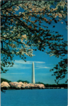 Washington DC Washington Monument Cherry Tree Blossom Postcard Flower (B3) - £3.60 GBP