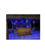 The Hollywood tiki bar, footrail, storage, wheels, electrical, fridge op... - $3,199.00