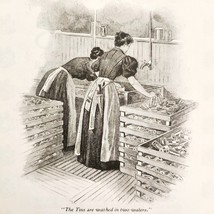 Franco American Food Co Soups 1899 Advertisement Victorian Products DWNN13 - €21,60 EUR