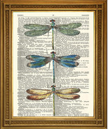 DRAGONFLY ART: Vintage Dictionary Print, Winged Insects on ANTQUE Paper ... - £6.03 GBP