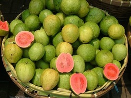 ArfanJaya 10 Pink Guava Seeds Psidium Guajava - £7.38 GBP