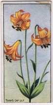 Cowan Co Toronto Card Turk&#39;s Cap Lily Wild Flowers Of Canada - $4.94