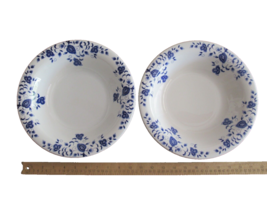 2x Pier 1 One Eliza Serving Pasta Bowl Plate 10.25&quot; Deep Plate Italy Ear... - $534.97 MXN