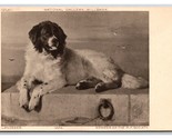 Distinguished Member of the Humane Society Painting By  Landseer DB Post... - $1.93