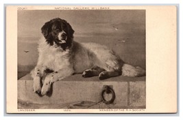 Distinguished Member of the Humane Society Painting By  Landseer DB Postcard V23 - £1.51 GBP