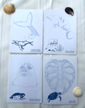 Sea Life blank note Cards 4 1/2” X 6 1/4” set of 8 - 2 of each, 100% rec... - £9.58 GBP