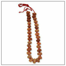 13 Mukhi Rudraksha Mala For Sex Kamadeva Powerful Attraction Mala 33 Bea... - £7,269.24 GBP