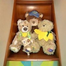 NWT Limited Edition &quot;American Cancer Society&quot; Boyds Bears - $64.35