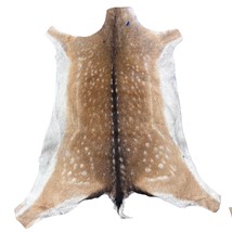 Fallow Deer Skin # D-980 (size 43X38&quot;) Real Chital Deer Skin - Leather - $5,564.41 MXN