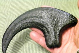 9 Inch Raptor Claw Replica Jurassic Dinosaur Fossil Nail Utahraptor Talon Relic - £22.11 GBP