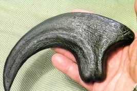 9 INCH RAPTOR CLAW REPLICA JURASSIC DINOSAUR FOSSIL NAIL UTAHRAPTOR TALO... - £22.06 GBP