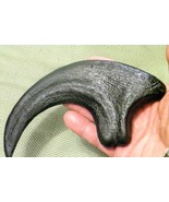 9 INCH RAPTOR CLAW REPLICA JURASSIC DINOSAUR FOSSIL NAIL UTAHRAPTOR TALO... - $27.67