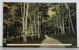 Michigan, Red Path Among the Birches, Presque Isle Marquette Postcard J16 - $10.95