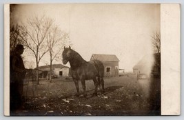 RPPC Beautiful Large Horse On Farm Real Photo Postcard Q21 - £7.43 GBP