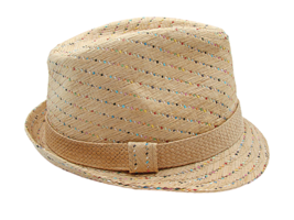 Tropical Trends Fedora Hat Tan w/ Sprinkles Toyo Straw Church Wedding Beach OSFM - £18.34 GBP