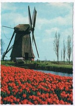 Netherlands Holland Postcard Windmill Canal Tulips - £2.28 GBP