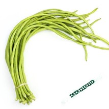 25 White Seeded Yard Long Bean Seed Tasty Asian Fresh Fresh Seeds USA - $17.00