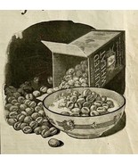 1924 Quaker Oats Grains of Deliciousness Cereal Advertisement Ephemera A... - $27.40 CAD