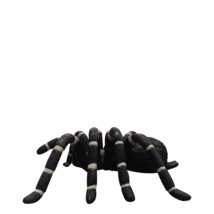 Tarantula Spider Insect Over Sized Statue - $700.83