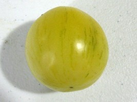 White Tomesol Tomato - 5+ seeds - SWEET and CREAMY! P 177 - $73.60 MXN