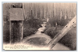 Great Divide Creek Alberta / British Columbia Canada UNP DB Postcard N22 - £3.17 GBP