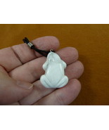 anv-frog-1 lil white Howlite Frog gemstone carving Pendant NECKLACE amph... - £9.66 GBP