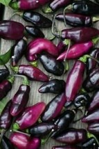 Pimenta da Neyde Chili - 5+ seeds - Ch 167 - £2.39 GBP