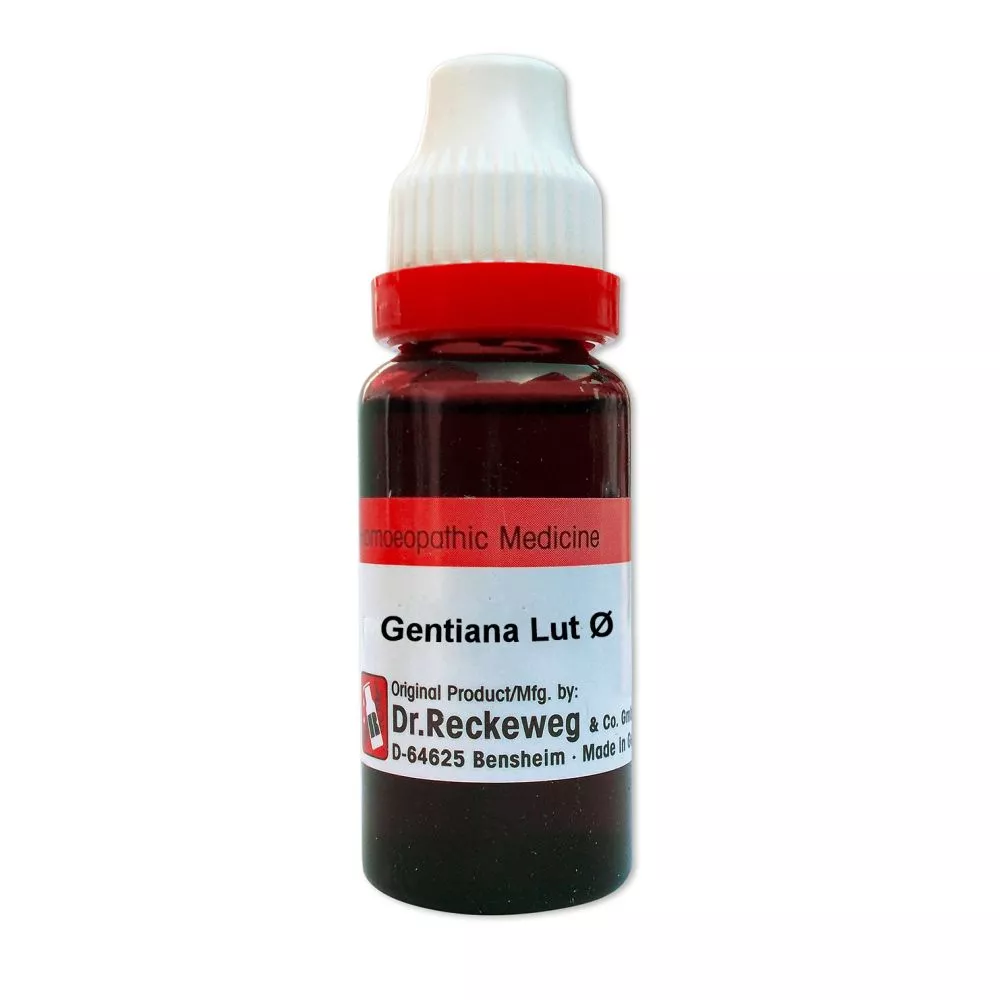 Dr Reckeweg Gentiana Lutea Mother Tincture Q 20ml 1 Pack - $12.87