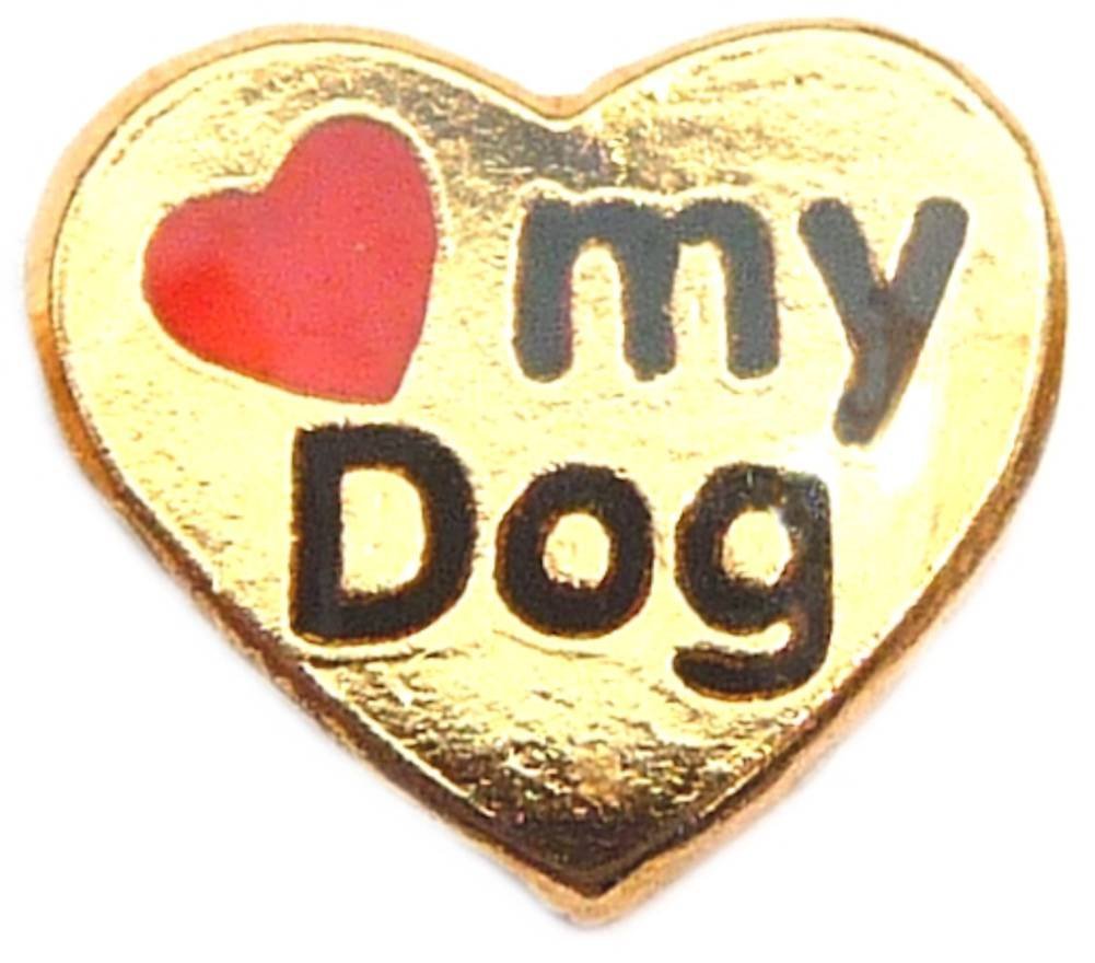 Primary image for Love My Dog Goldtone Floating Locket Charm